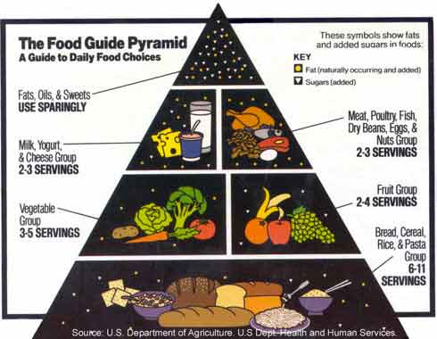 NHS Low Fat Diet Sheet Gallstones: A Festive Guide to Managing Your Health